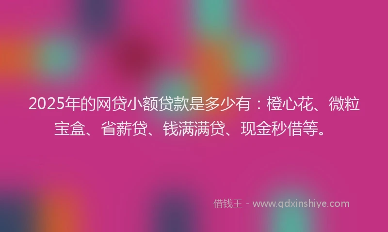 2025年的网贷小额贷款是多少有：橙心花、微粒宝盒、省薪贷、钱满满贷、现金秒借等。