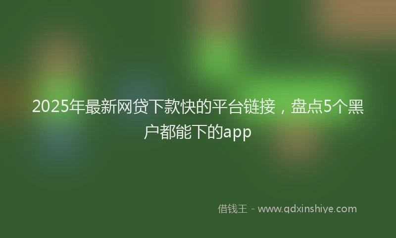 2025年最新网贷下款快的平台链接，盘点5个黑户都能下的app