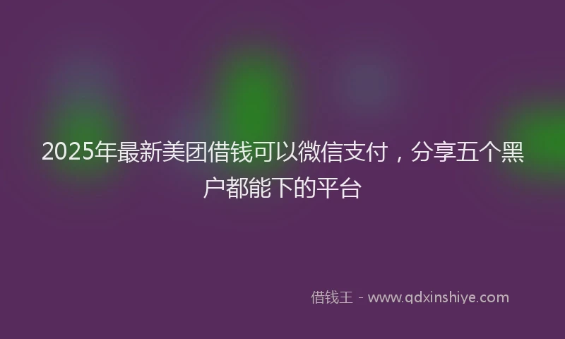 2025年最新美团借钱可以微信支付，分享五个黑户都能下的平台