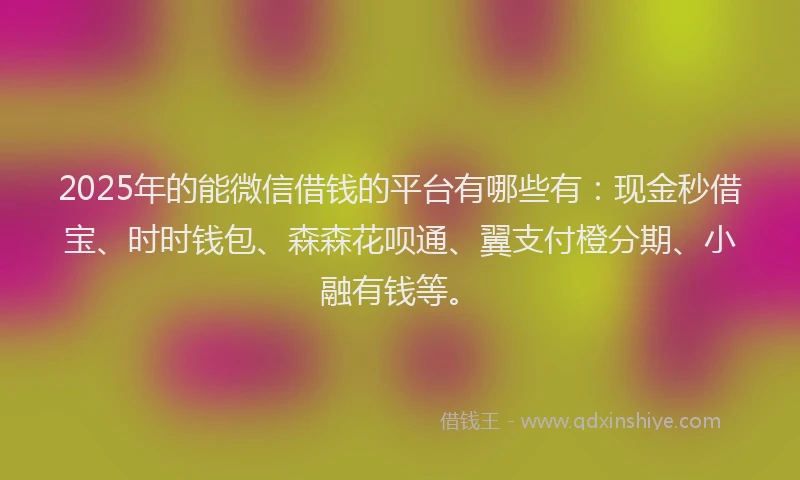 2025年的能微信借钱的平台有哪些有：现金秒借宝、时时钱包、森森花呗通、翼支付橙分期、小融有钱等。