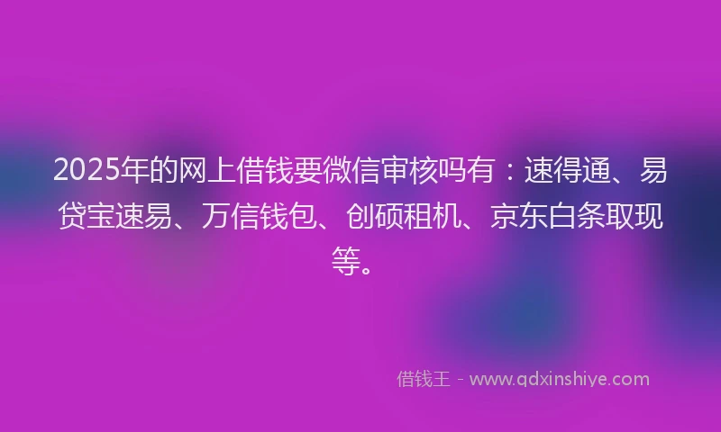2025年的网上借钱要微信审核吗有：速得通、易贷宝速易、万信钱包、创硕租机、京东白条取现等。