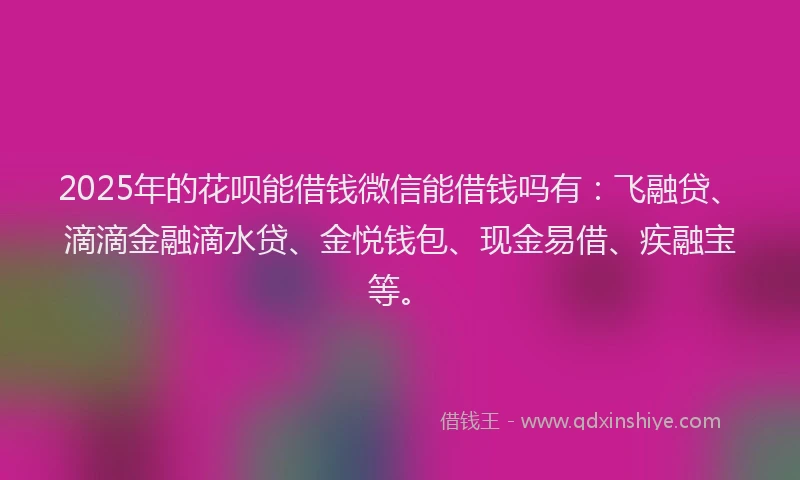 2025年的花呗能借钱微信能借钱吗有：飞融贷、滴滴金融滴水贷、金悦钱包、现金易借、疾融宝等。