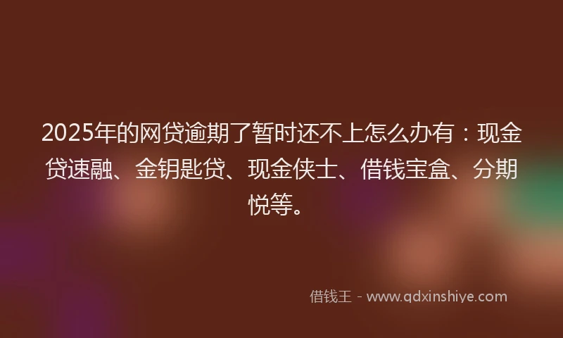 2025年的网贷逾期了暂时还不上怎么办有：现金贷速融、金钥匙贷、现金侠士、借钱宝盒、分期悦等。