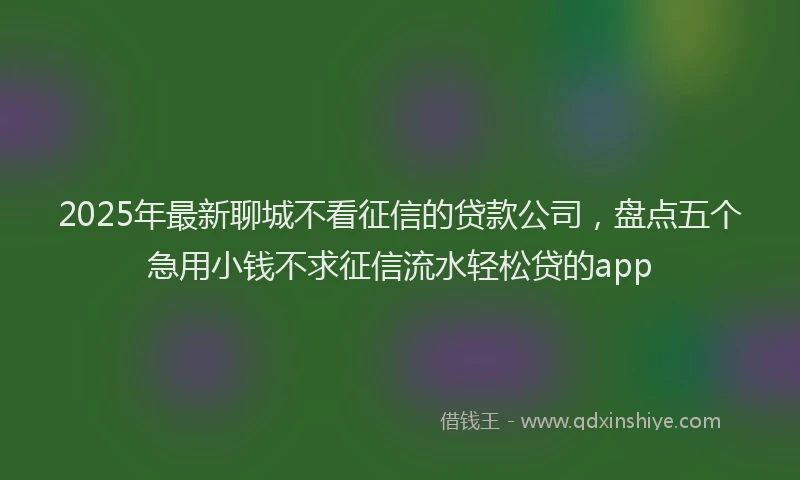 2025年最新聊城不看征信的贷款公司，盘点五个急用小钱不求征信流水轻松贷的app
