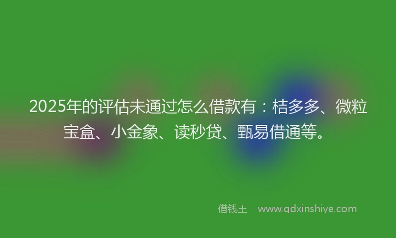 2025年的评估未通过怎么借款有：桔多多、微粒宝盒、小金象、读秒贷、甄易借通等。