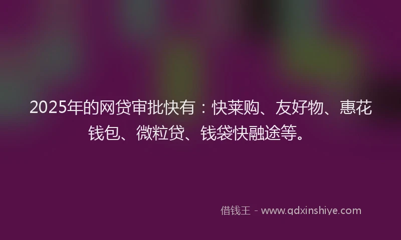 2025年的网贷审批快有：快莱购、友好物、惠花钱包、微粒贷、钱袋快融途等。