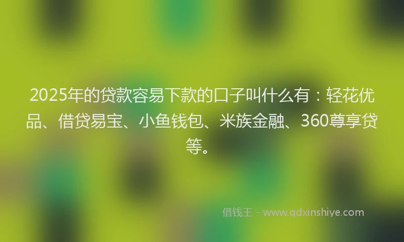 2025年的贷款容易下款的口子叫什么有：轻花优品、借贷易宝、小鱼钱包、米族金融、360尊享贷等。