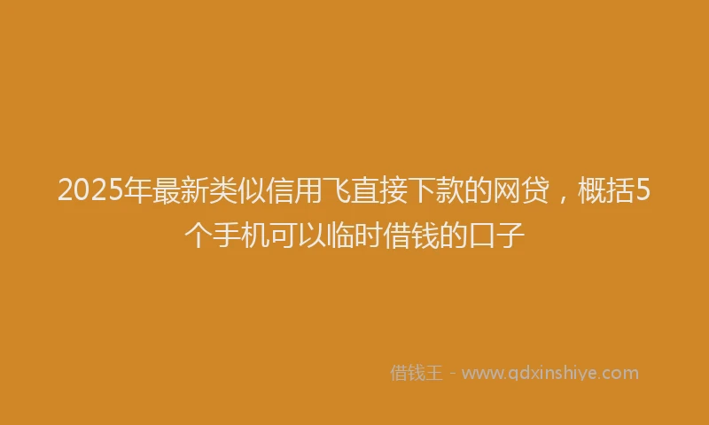 2025年最新类似信用飞直接下款的网贷，概括5个手机可以临时借钱的口子