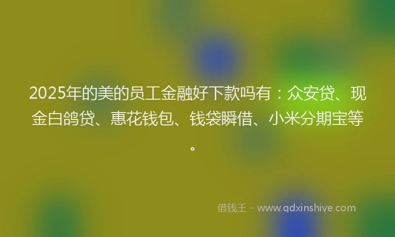 2025年的美的员工金融好下款吗有：众安贷、现金白鸽贷、惠花钱包、钱袋瞬借、小米分期宝等。