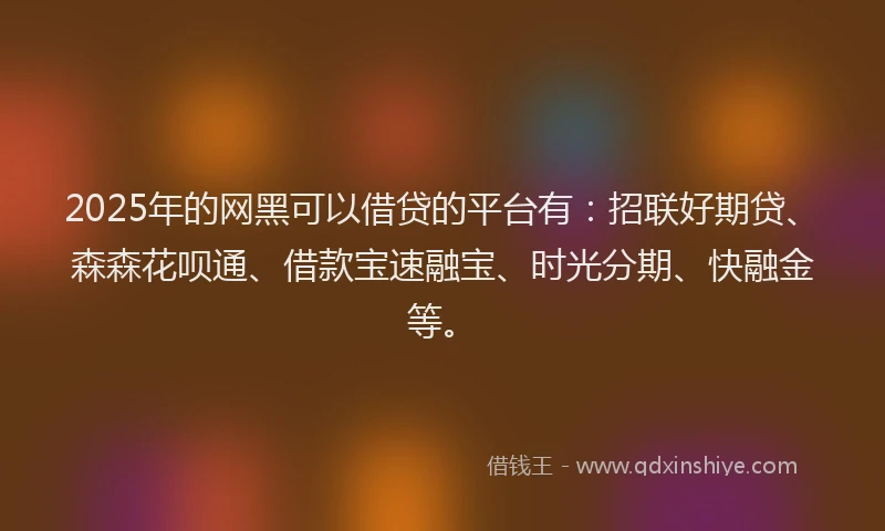 2025年的网黑可以借贷的平台有：招联好期贷、森森花呗通、借款宝速融宝、时光分期、快融金等。