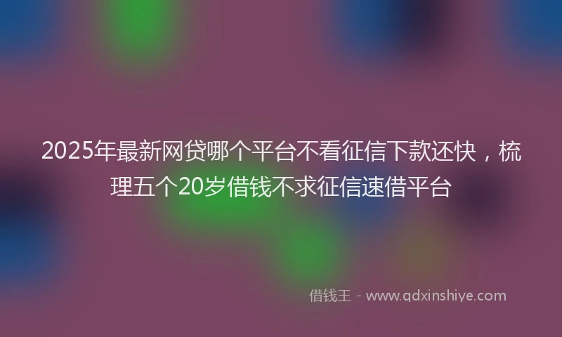 2025年最新网贷哪个平台不看征信下款还快，梳理五个20岁借钱不求征信速借平台