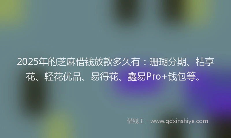 2025年的芝麻借钱放款多久有：珊瑚分期、桔享花、轻花优品、易得花、鑫易Pro+钱包等。