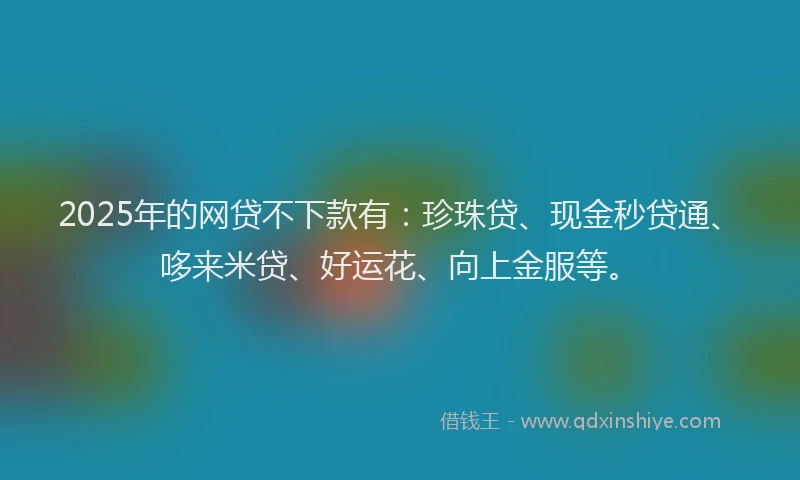 2025年的网贷不下款有：珍珠贷、现金秒贷通、哆来米贷、好运花、向上金服等。