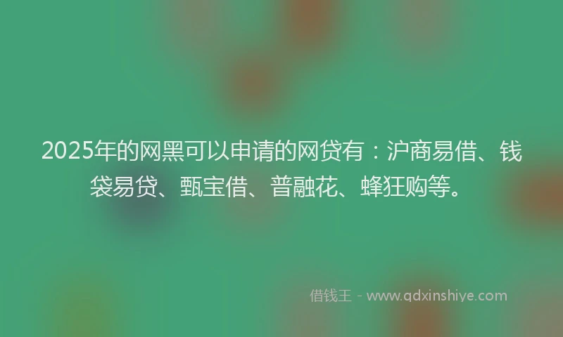 2025年的网黑可以申请的网贷有：沪商易借、钱袋易贷、甄宝借、普融花、蜂狂购等。
