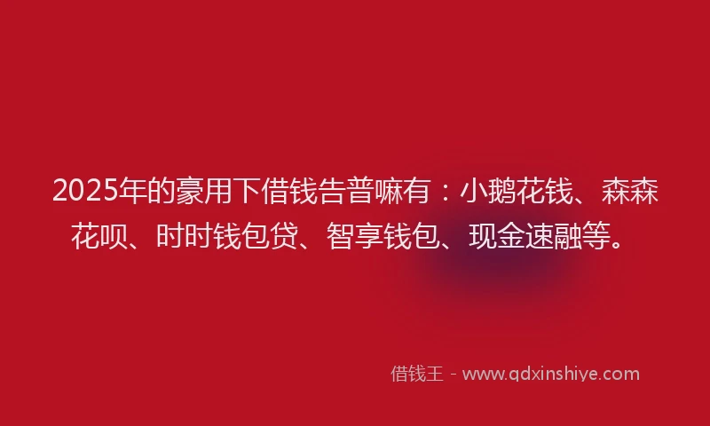 2025年的豪用下借钱告普嘛有：小鹅花钱、森森花呗、时时钱包贷、智享钱包、现金速融等。