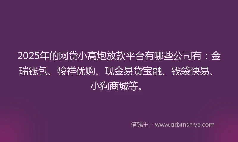 2025年的网贷小高炮放款平台有哪些公司有：金瑞钱包、骏祥优购、现金易贷宝融、钱袋快易、小狗商城等。