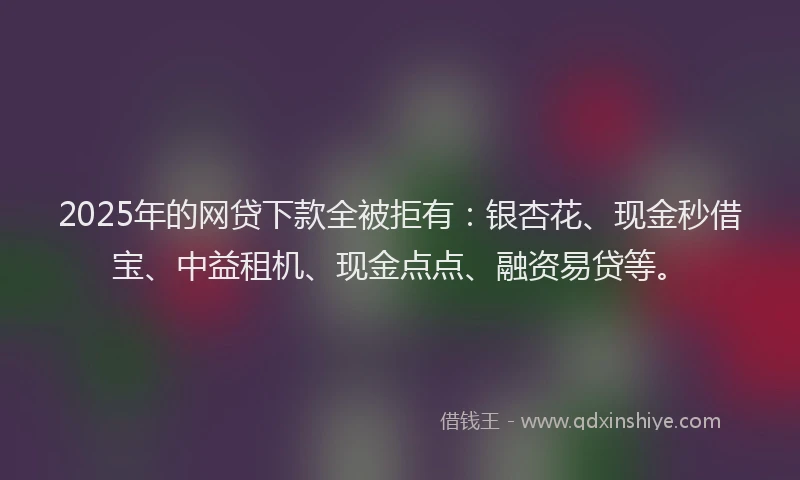 2025年的网贷下款全被拒有：银杏花、现金秒借宝、中益租机、现金点点、融资易贷等。