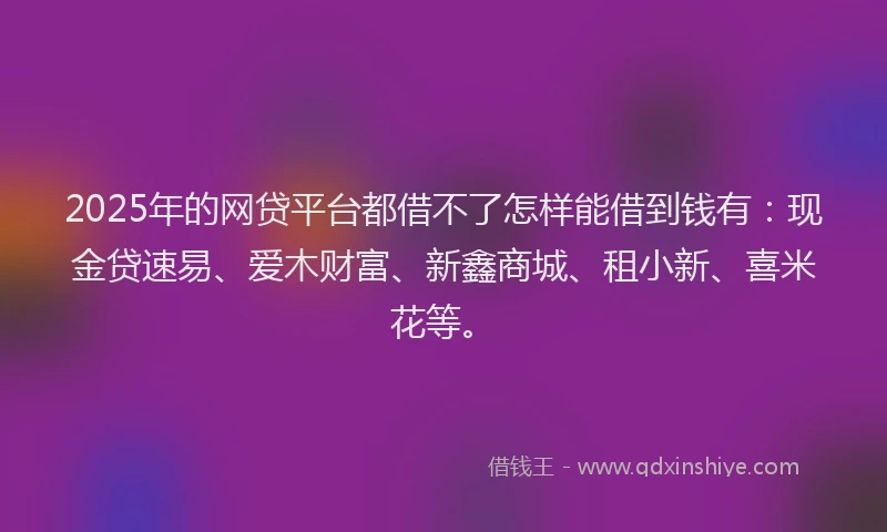 2025年的网贷平台都借不了怎样能借到钱有：现金贷速易、爱木财富、新鑫商城、租小新、喜米花等。