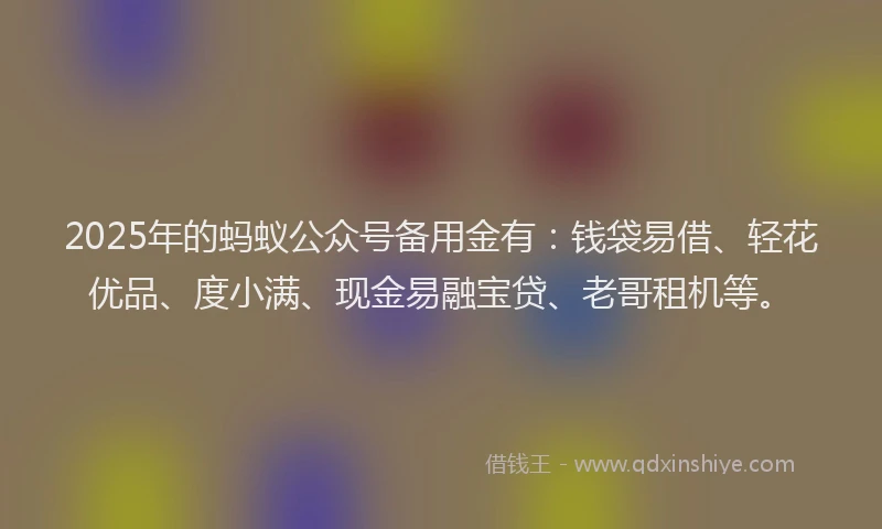 2025年的蚂蚁公众号备用金有：钱袋易借、轻花优品、度小满、现金易融宝贷、老哥租机等。