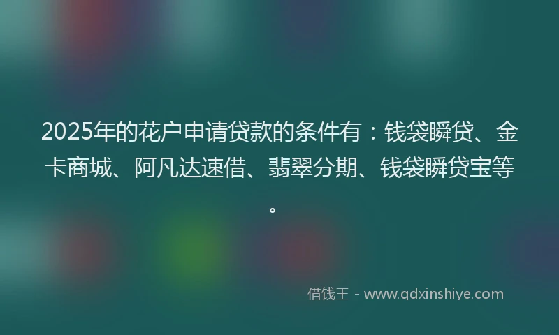 2025年的花户申请贷款的条件有：钱袋瞬贷、金卡商城、阿凡达速借、翡翠分期、钱袋瞬贷宝等。