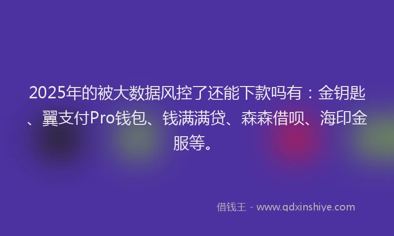 2025年的被大数据风控了还能下款吗有：金钥匙、翼支付Pro钱包、钱满满贷、森森借呗、海印金服等。