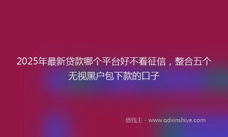 2025年最新贷款哪个平台好不看征信，整合五个无视黑户包下款的口子