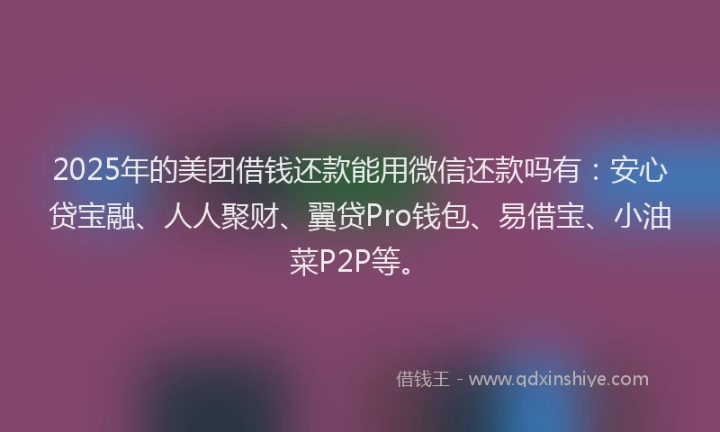 2025年的美团借钱还款能用微信还款吗有：安心贷宝融、人人聚财、翼贷Pro钱包、易借宝、小油菜P2P等。