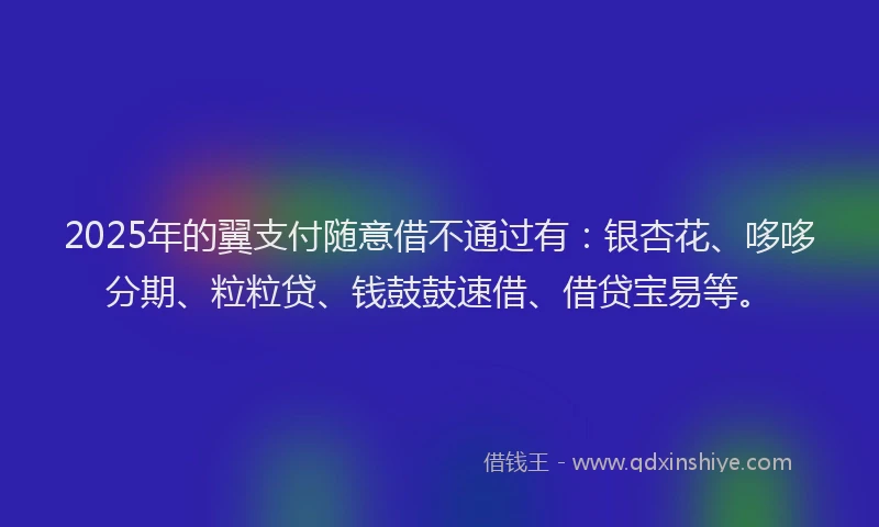 2025年的翼支付随意借不通过有：银杏花、哆哆分期、粒粒贷、钱鼓鼓速借、借贷宝易等。
