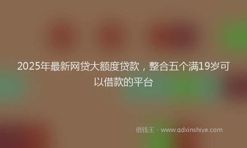 2025年最新网贷大额度贷款，整合五个满19岁可以借款的平台