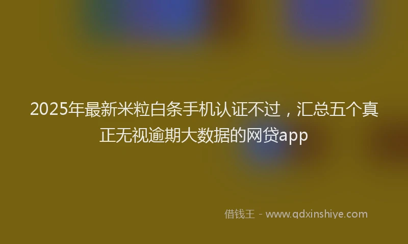 2025年最新米粒白条手机认证不过，汇总五个真正无视逾期大数据的网贷app