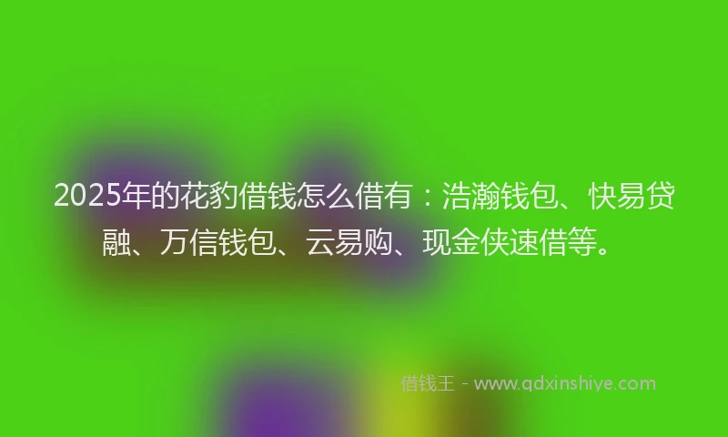 2025年的花豹借钱怎么借有：浩瀚钱包、快易贷融、万信钱包、云易购、现金侠速借等。