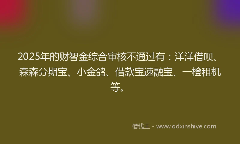2025年的财智金综合审核不通过有：洋洋借呗、森森分期宝、小金鸽、借款宝速融宝、一橙租机等。