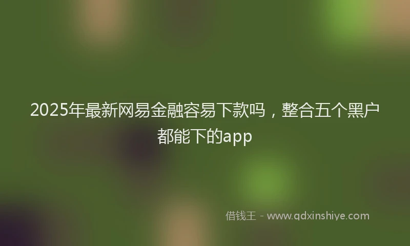 2025年最新网易金融容易下款吗，整合五个黑户都能下的app