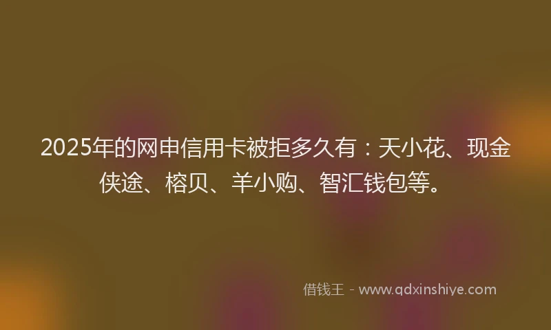 2025年的网申信用卡被拒多久有：天小花、现金侠途、榕贝、羊小购、智汇钱包等。