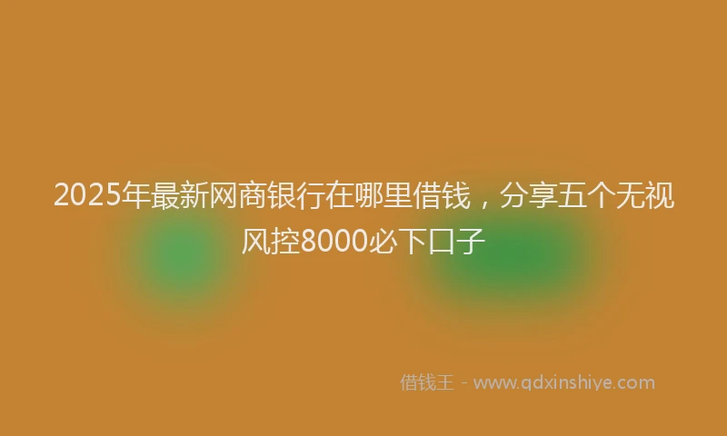 2025年最新网商银行在哪里借钱，分享五个无视风控8000必下口子