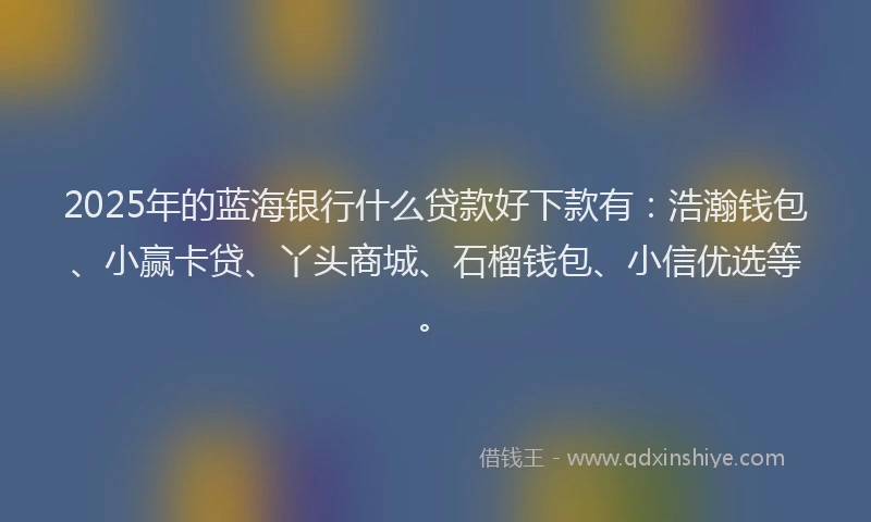 2025年的蓝海银行什么贷款好下款有：浩瀚钱包、小赢卡贷、丫头商城、石榴钱包、小信优选等。