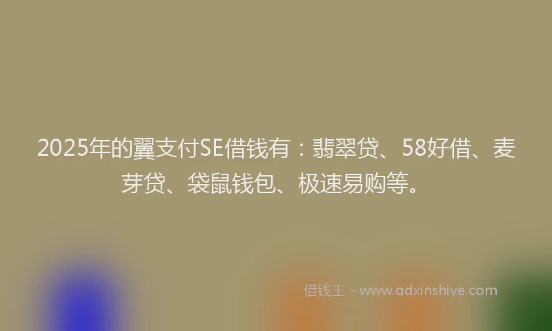 2025年的翼支付SE借钱有：翡翠贷、58好借、麦芽贷、袋鼠钱包、极速易购等。