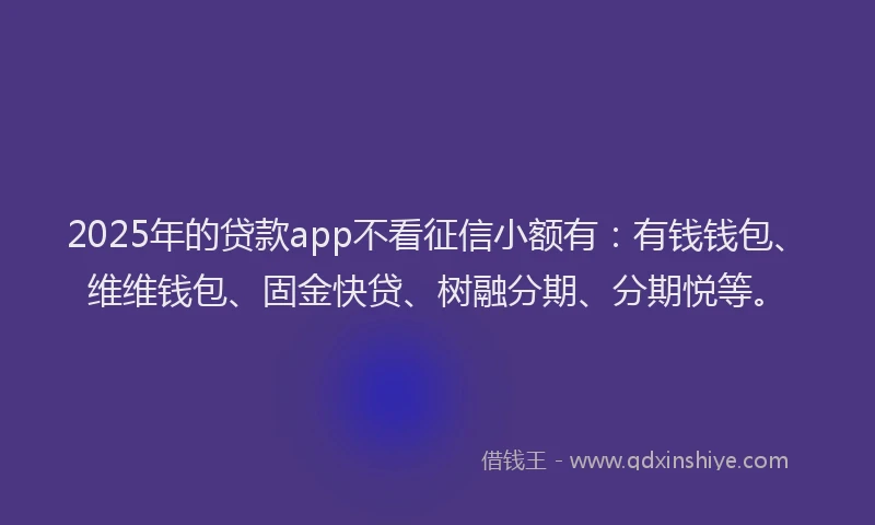 2025年的贷款app不看征信小额有：有钱钱包、维维钱包、固金快贷、树融分期、分期悦等。