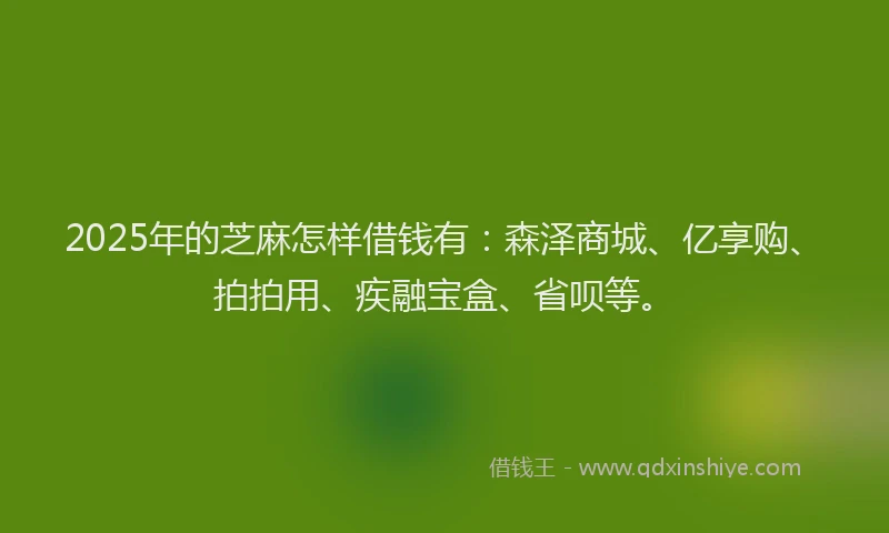 2025年的芝麻怎样借钱有：森泽商城、亿享购、拍拍用、疾融宝盒、省呗等。