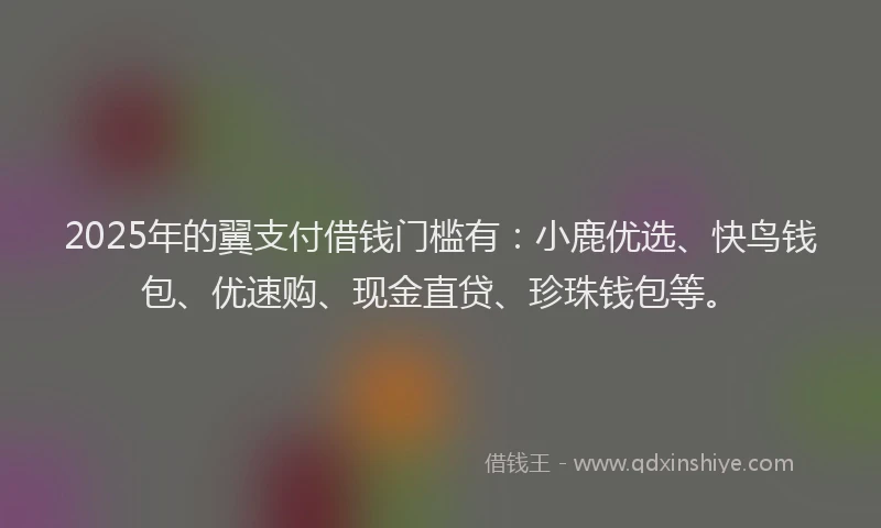 2025年的翼支付借钱门槛有：小鹿优选、快鸟钱包、优速购、现金直贷、珍珠钱包等。