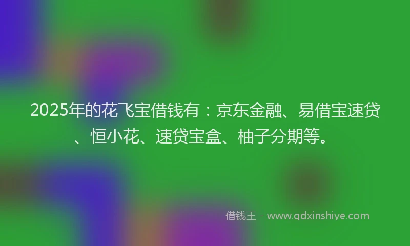 2025年的花飞宝借钱有：京东金融、易借宝速贷、恒小花、速贷宝盒、柚子分期等。