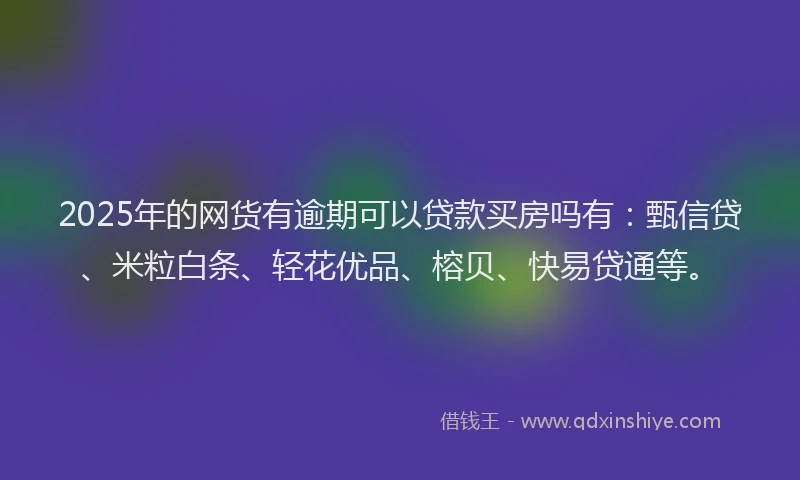 2025年的网货有逾期可以贷款买房吗有：甄信贷、米粒白条、轻花优品、榕贝、快易贷通等。