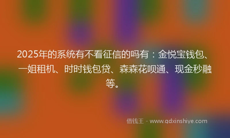 2025年的系统有不看征信的吗有：金悦宝钱包、一姐租机、时时钱包贷、森森花呗通、现金秒融等。