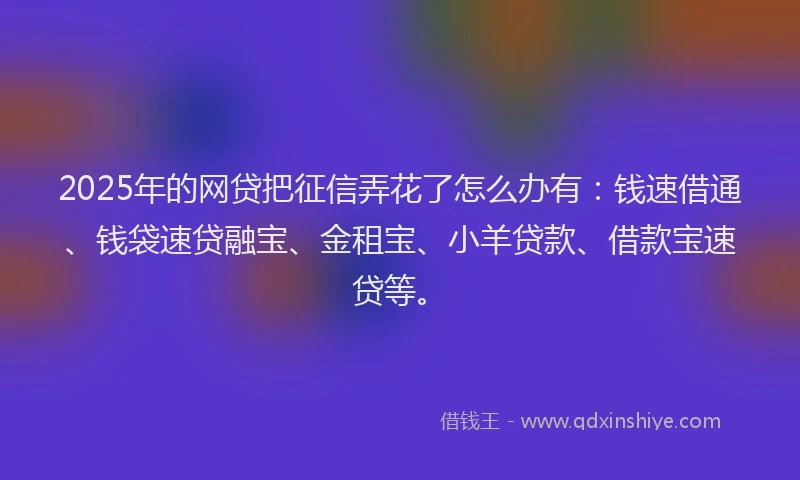 2025年的网贷把征信弄花了怎么办有：钱速借通、钱袋速贷融宝、金租宝、小羊贷款、借款宝速贷等。