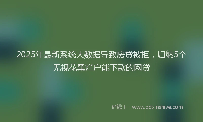 2025年最新系统大数据导致房贷被拒，归纳5个无视花黑烂户能下款的网贷