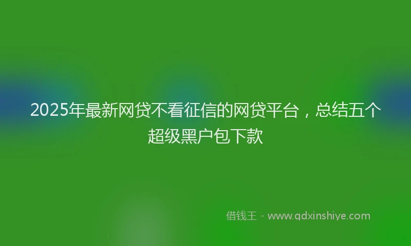 2025年最新网贷不看征信的网贷平台，总结五个超级黑户包下款
