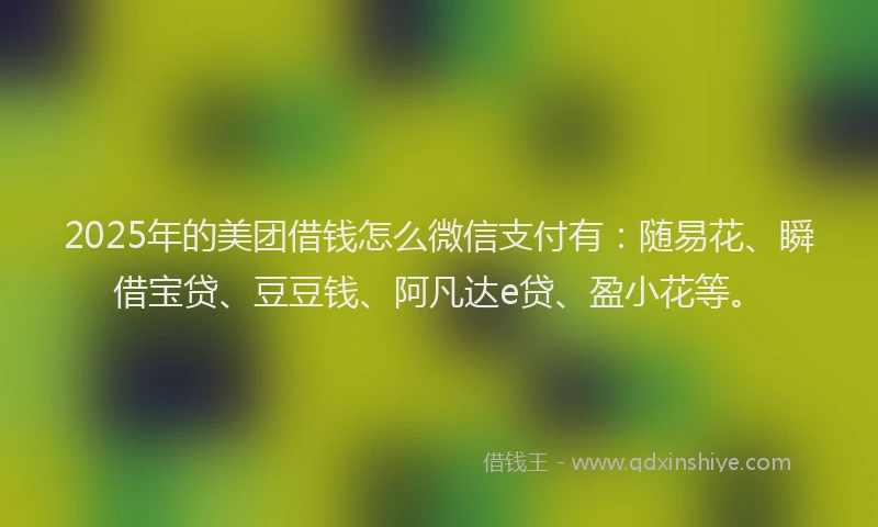 2025年的美团借钱怎么微信支付有：随易花、瞬借宝贷、豆豆钱、阿凡达e贷、盈小花等。