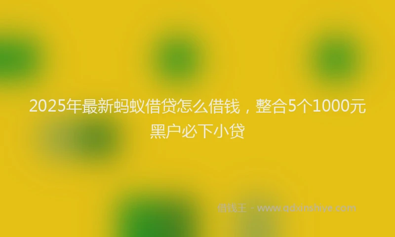 2025年最新蚂蚁借贷怎么借钱，整合5个1000元黑户必下小贷