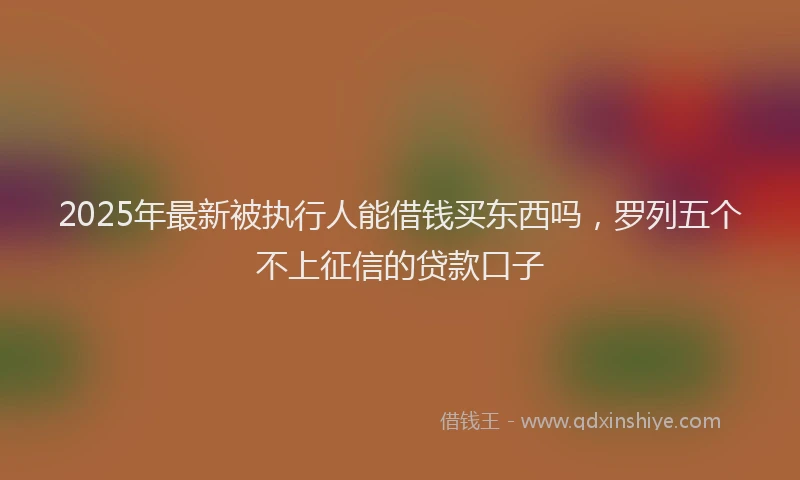 2025年最新被执行人能借钱买东西吗，罗列五个不上征信的贷款口子