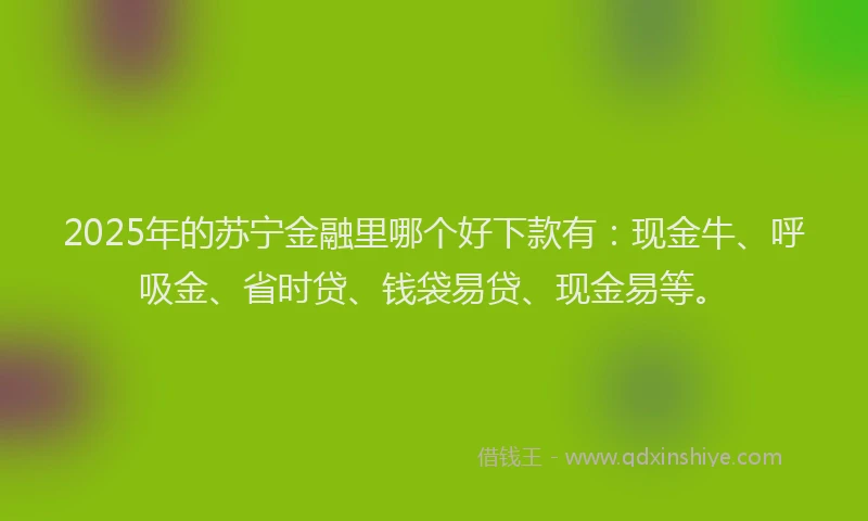 2025年的苏宁金融里哪个好下款有：现金牛、呼吸金、省时贷、钱袋易贷、现金易等。